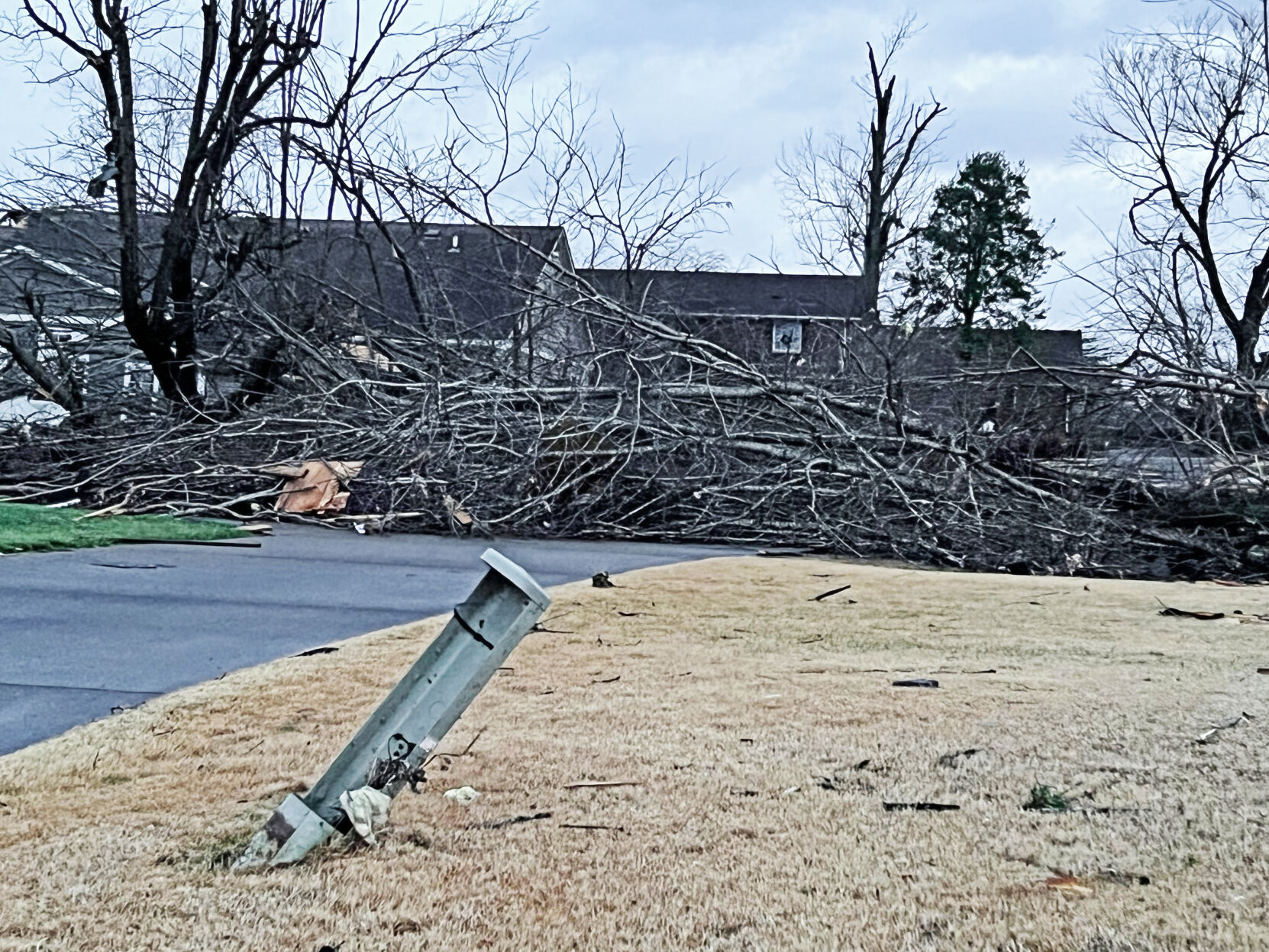 Trees block many roads and driveways in Princeton